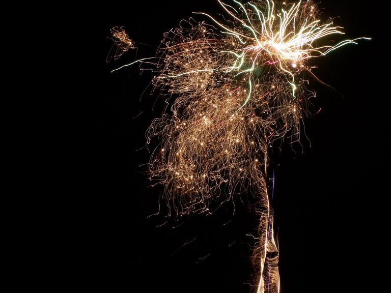 feu artifice mariage - Bélignieux (01360)